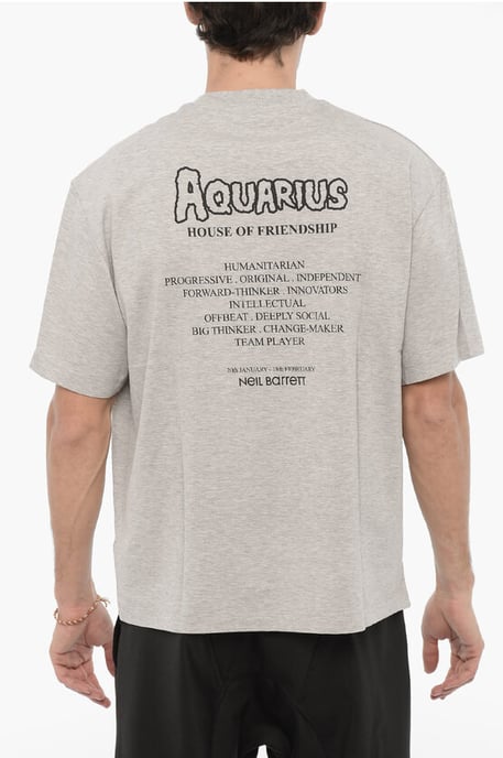 Printed AQUARIUS THE HUMANITARIAN Crew-neck T-Shirt in Gray - Image 2