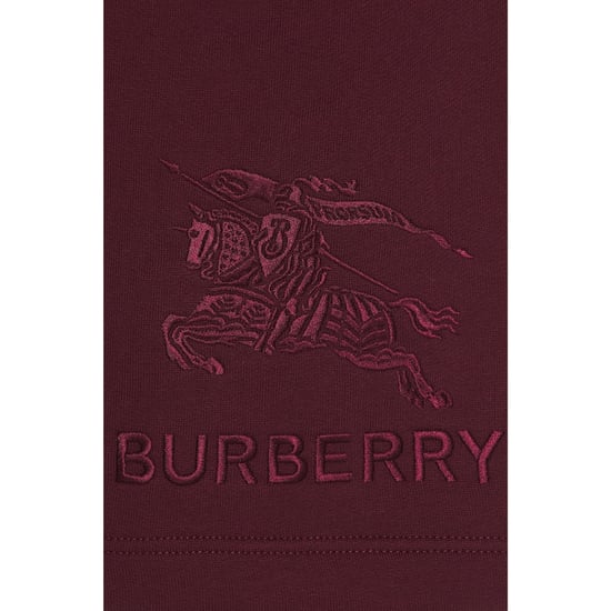 Burberry Taylor Burgundy Shorts - Image 5