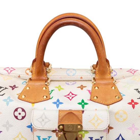 Louis Vuitton Takashi Murakami Speedy 30 Handbag - '00s - Image 5