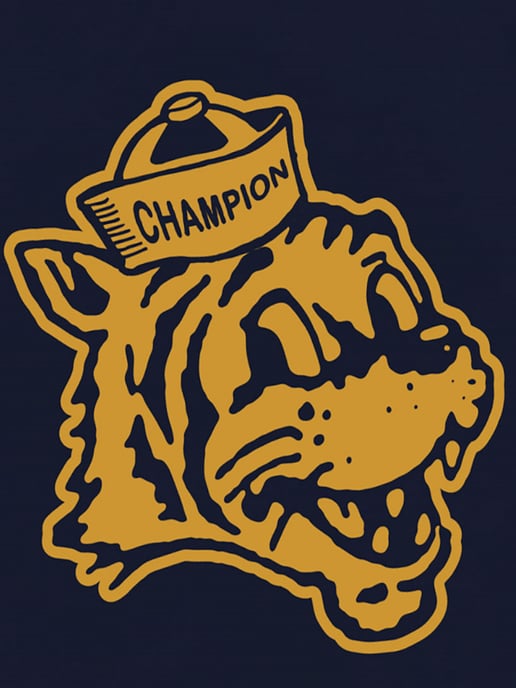 Champion T-shirt - Image 2