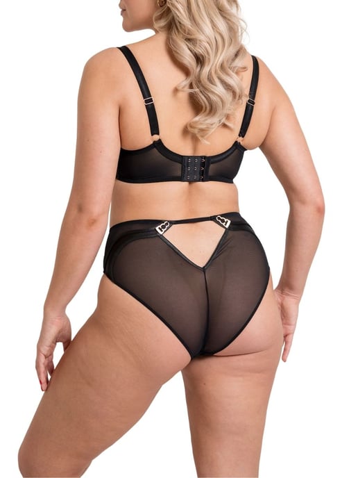 Suspense Plunge Bra - Image 4