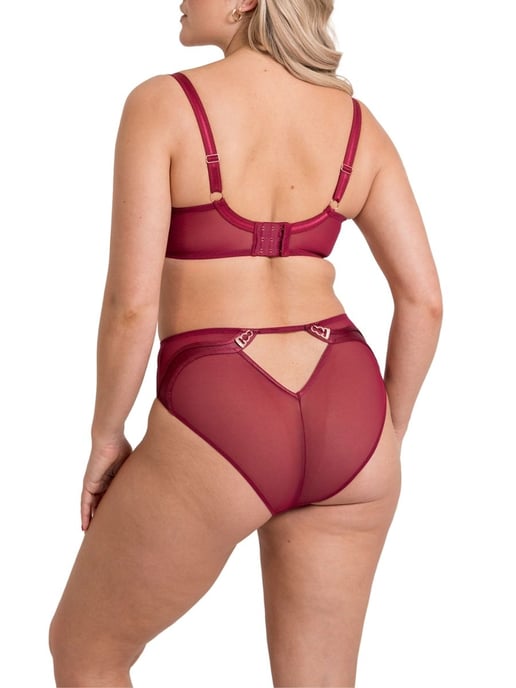Suspense Plunge Bra - Image 4