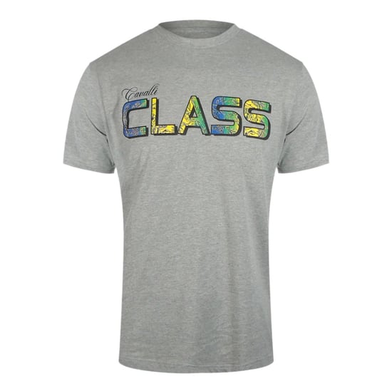 Cavalli Class Vibrant Blommig Logotyp Grå T-shirt - Image 1