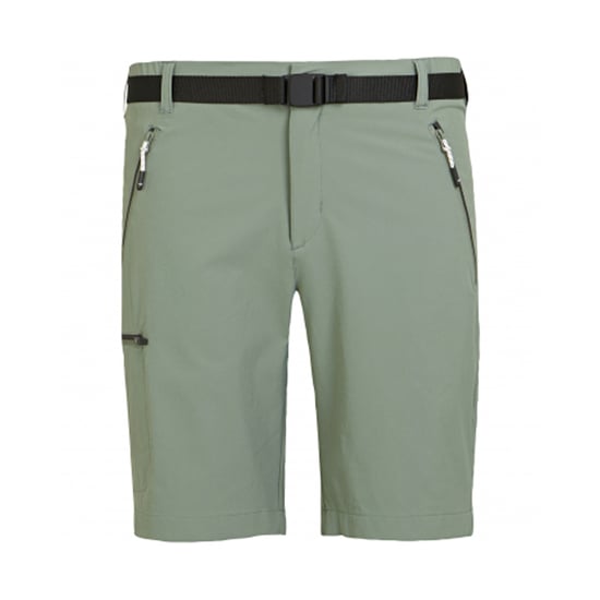 Regatta Mens Xert III Stretch Shorts (Agave Green) - Image 1