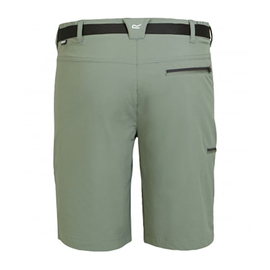 Regatta Heren Xert III Stretch Shorts (Agave Groen) - Image 2