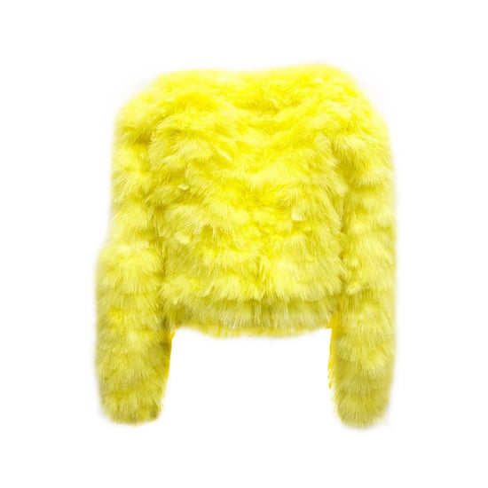 Dsquared2 Feathers Bomberjack - Image 3