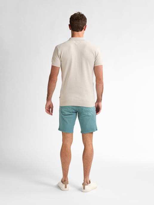 Petrol Industries - Heren Gekleurde Denim Short Stingraypark - Blauw - Image 6
