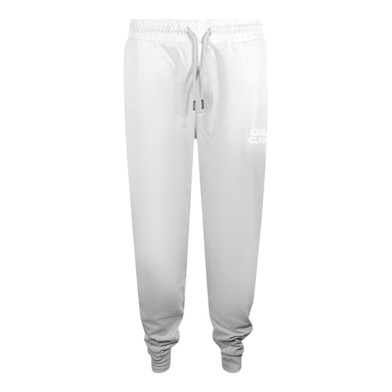 Cavalli Class Bold Logo Light Grey Sweatpants - Image 1