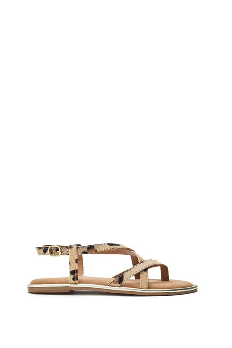 Jacaran Leopard Sandals - Image 1
