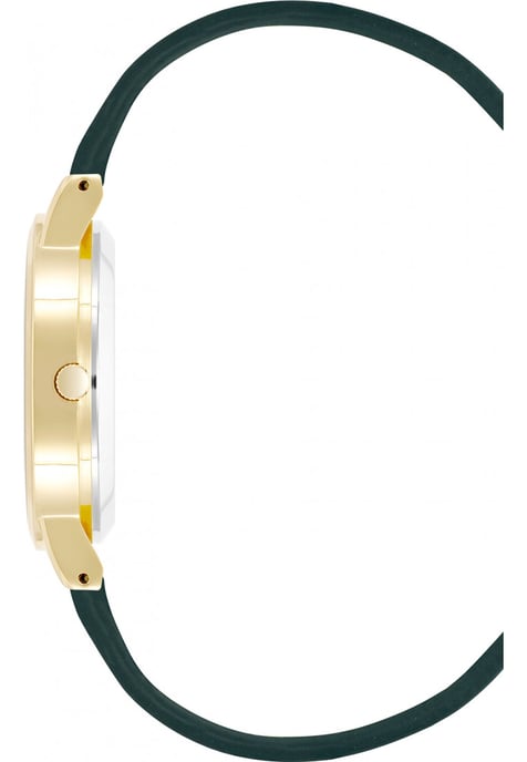 Juicy Couture JC1344GPGN Ladies Watch - Image 2
