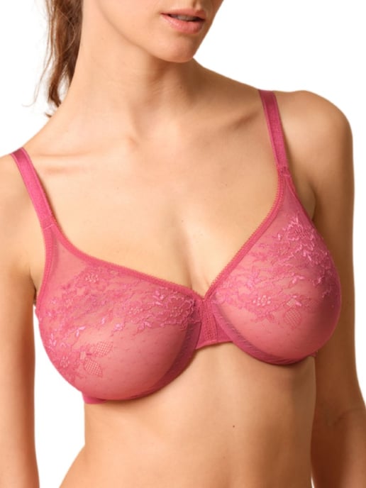 Glossies Lace Sheer Bra - Image 4