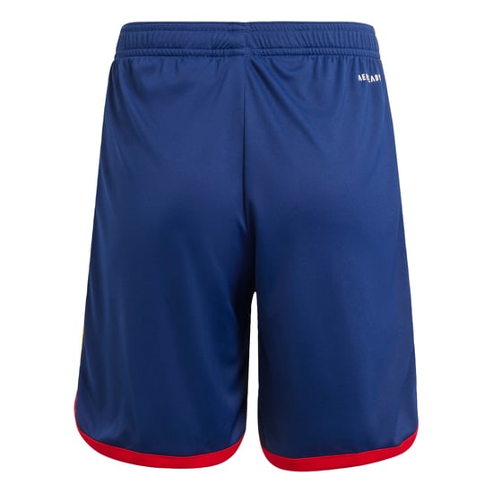Olympique Lyonnais 23/24 Third Shorts - Image 4