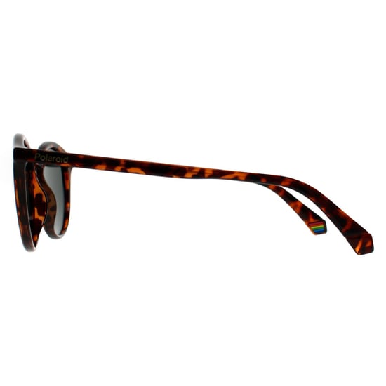 Polaroid Round Unisex Havana Green Polarized PLD 6233/S - Image 3