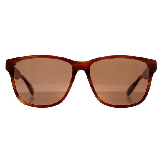 Ted Baker TB8232 151 bruin hoornen zonnebril - Image 1