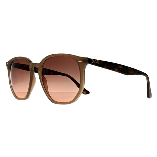 Ray-Ban RB4306 678846 gepolijste tortledove roze gradiÃ«nt grijze zonnebril - Image 2