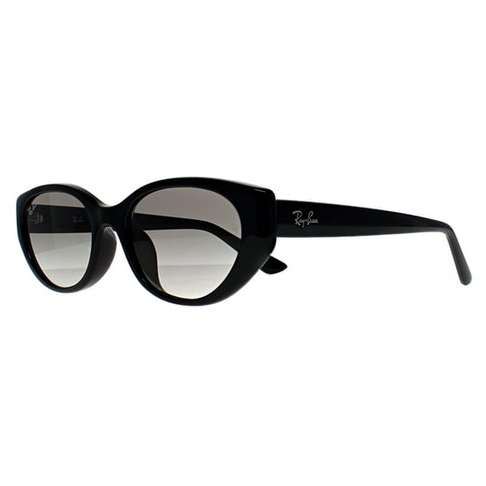Ray-Ban RB4457D Bio Based 667711 gepolijste zwart grijs gradiÃ«nt zonnebril - Image 2