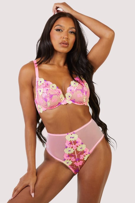 Playful Promises Luna Pastel Embroidery High Waisted Brief - Image 2