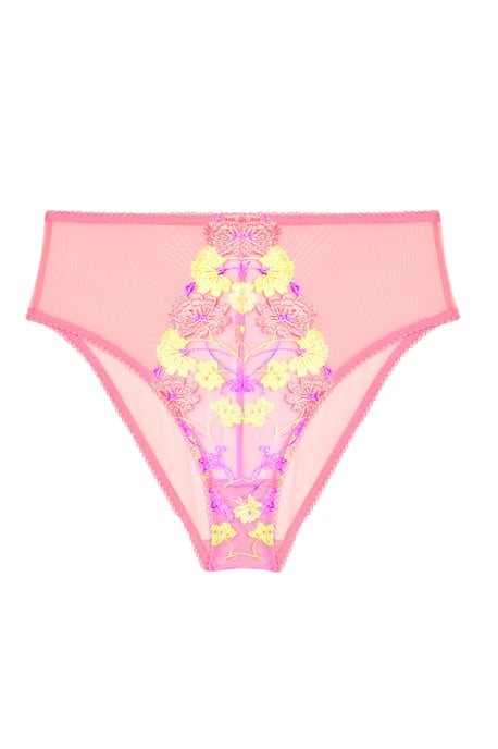 Playful Promises Luna Pastel Embroidery High Waisted Brief - Image 4
