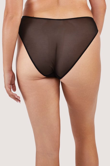 Felicity Hayward X Pp Fairfield Fishnet And Lace Hipster Brief - Image 4