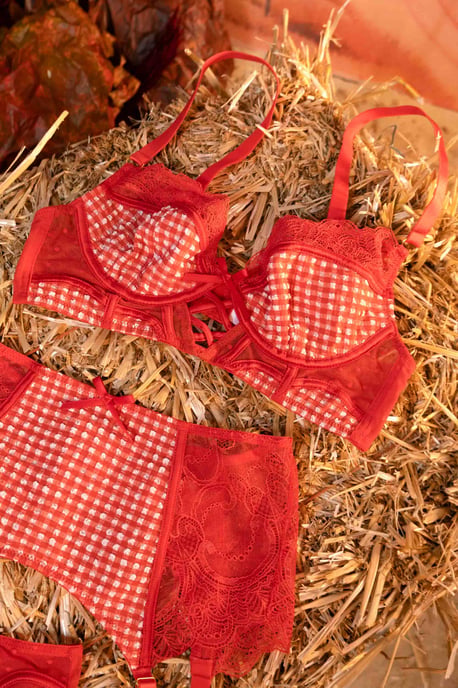 Bettie Page Lingerie Western Gingham & Lace High Waisted Thong - Image 3