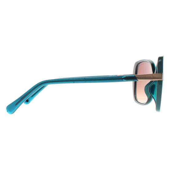 Radley Butterfly Womens Gloss Green Crystal and Teal Brown Gradient Morwenna - Image 4