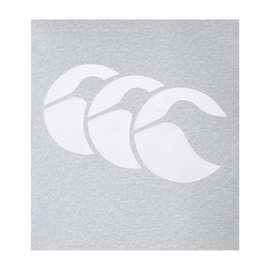 Canterbury Herenlogo T-Shirt (Grijs/Wit) - Image 3
