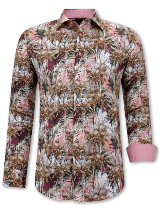 Gentile Bellini Hawaii bruin - Image 1