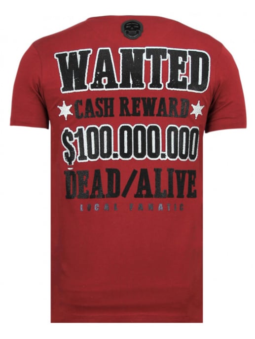 Local Fanatic Beagle boys t-shirt - Image 2