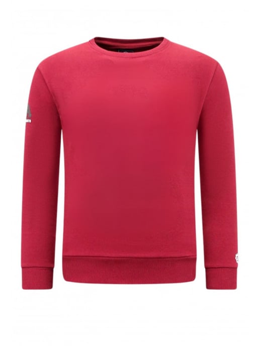 Local Fanatic Sweater met mma fighter - Image 4