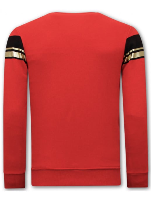 Montfleuri Sweater met print leeuw strass - Image 2