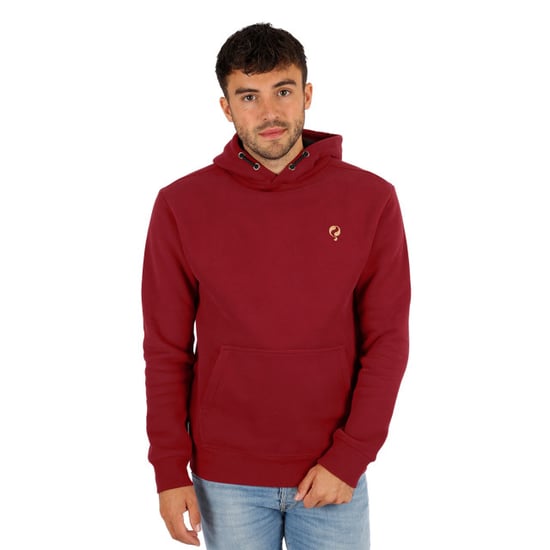 Q1905 Trui epe cherry - Image 1
