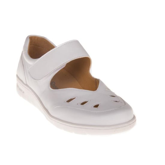 Q-Fit Kassel - Image 1