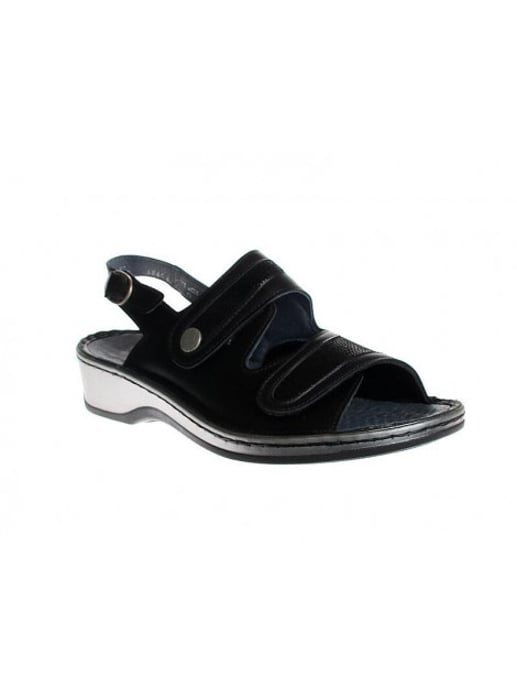 Stuppy 1546 - Image 2