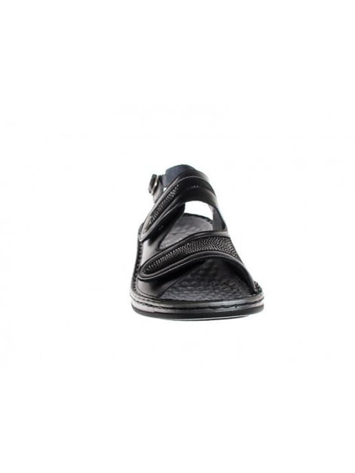 Stuppy 1546 - Image 3