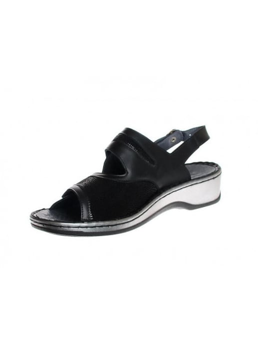 Stuppy 1546 - Image 4