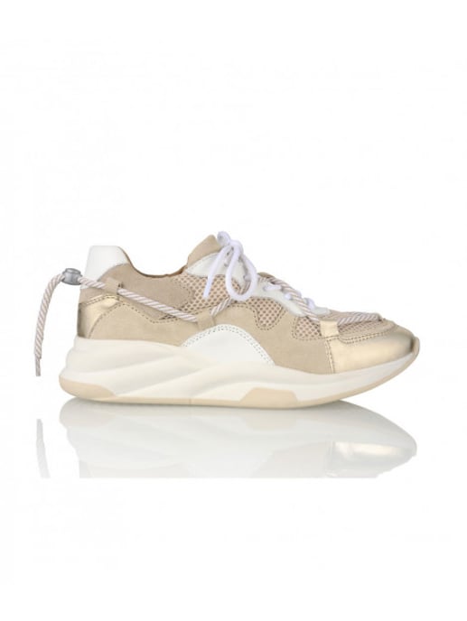 DWRS Label B10070-01 maryland white/beige - Image 2