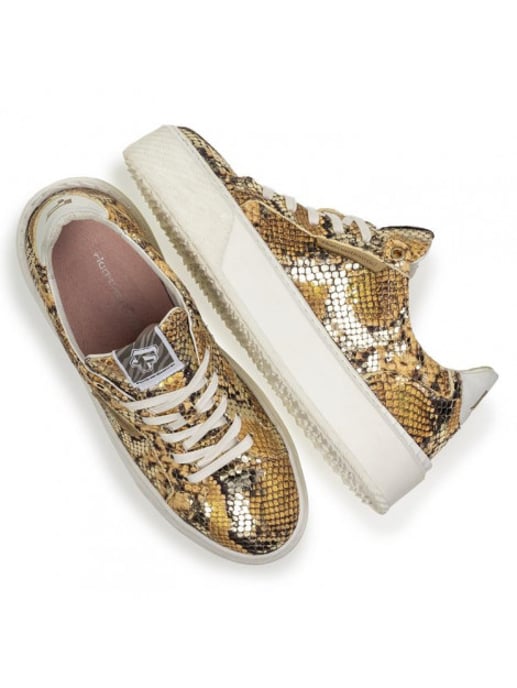 Floris van Bommel Sfw-10106 - Image 5