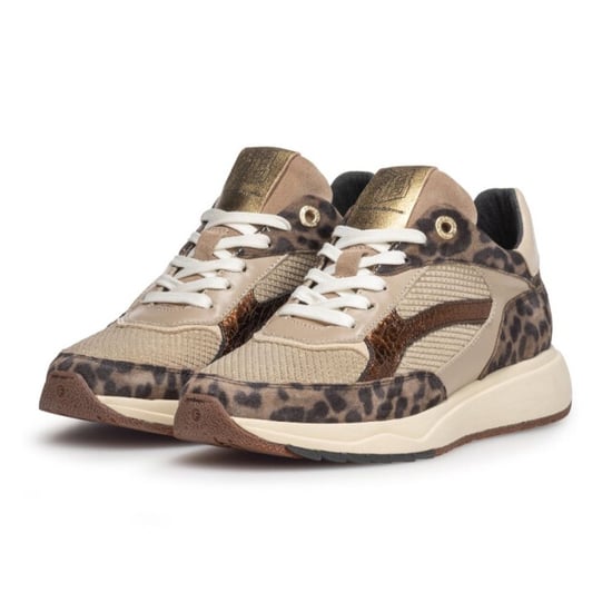 Floris van Bommel Veterschoenen - Image 5