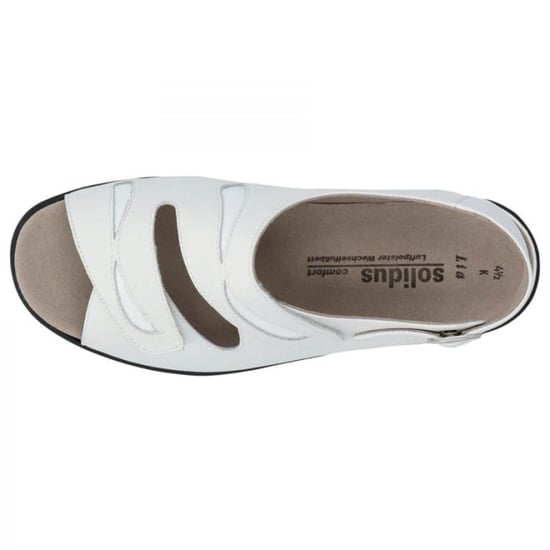 Solidus 73113 - Image 3