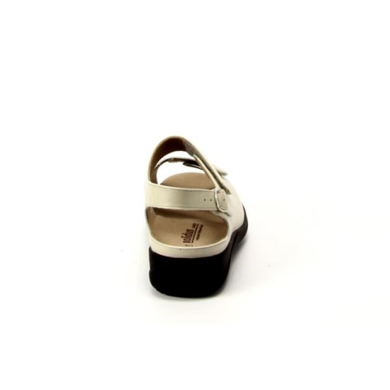 Solidus 73113 - Image 4