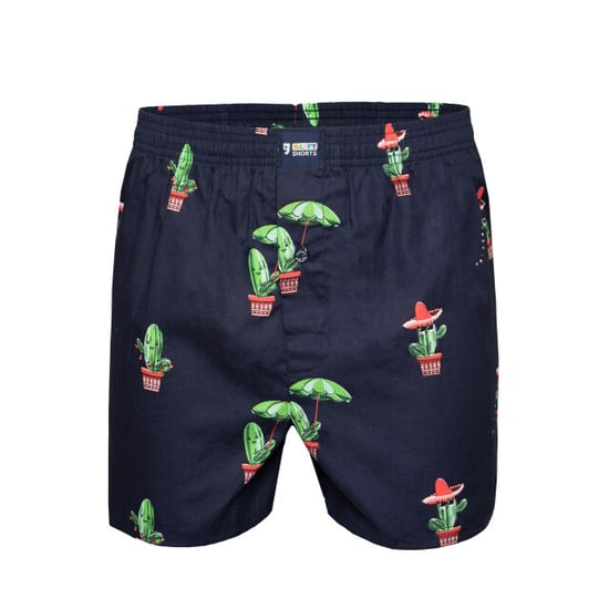 Happy Shorts X heren wijde boxershort met binnenbroek cactus print - Image 3
