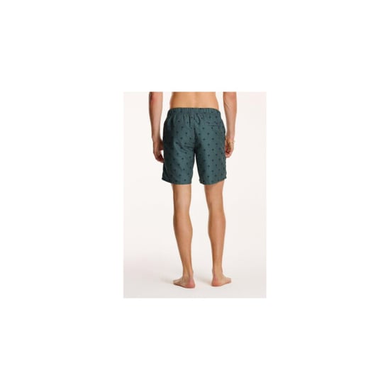 Shiwi men swim shorts shiwi scratch palm - Image 4