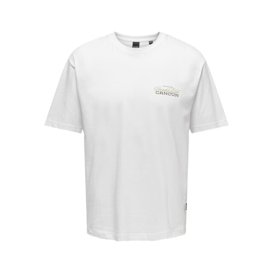Only & Sons Onskeane rlx ss print tee noos off-white - Image 1