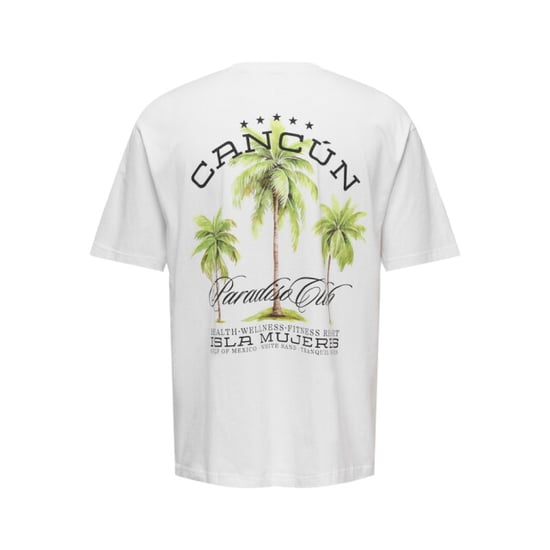 Only & Sons Onskeane rlx ss print tee noos off-white - Image 2