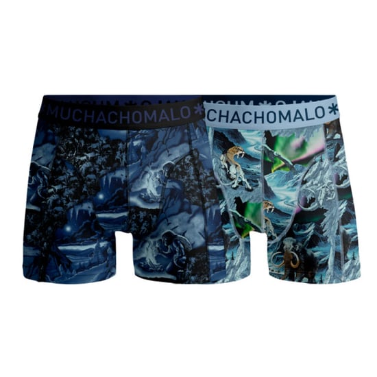 Muchachomalo Boys 2-pack boxer shorts prehistory - Image 1