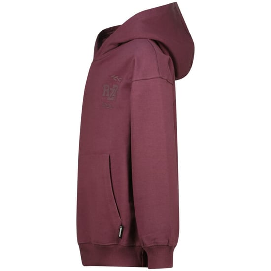 Raizzed Nai aubergine - Image 3