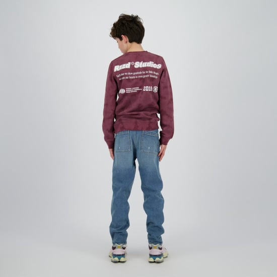 Raizzed Nalaric aubergine - Image 5