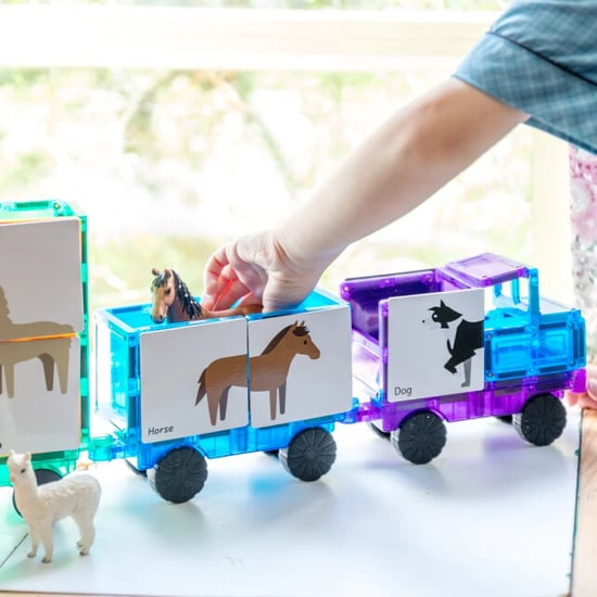 Learn and Grow Toys Learn and grow magnetische toppers dieren duo 40 delig - Image 3