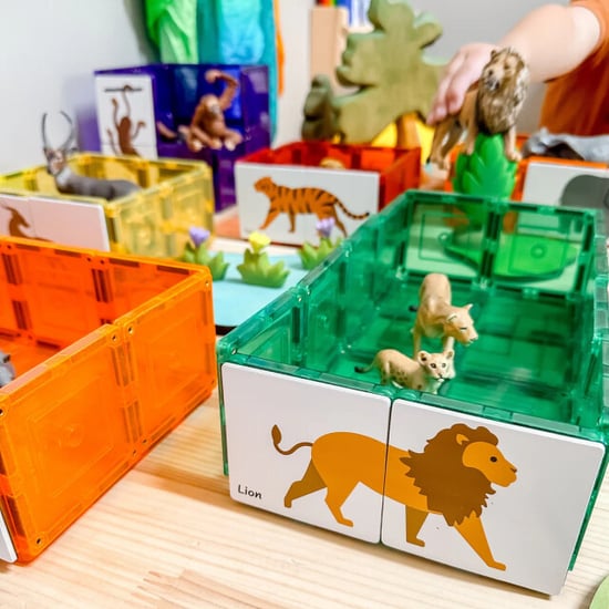 Learn and Grow Toys Learn and grow magnetische toppers dieren duo 40 delig - Image 4