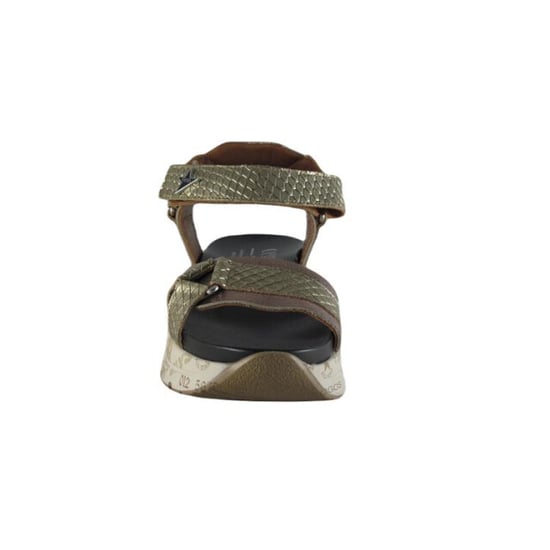 Cetti C1297 - Image 2